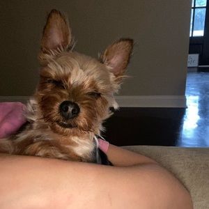 Meet your Posher, Mindy